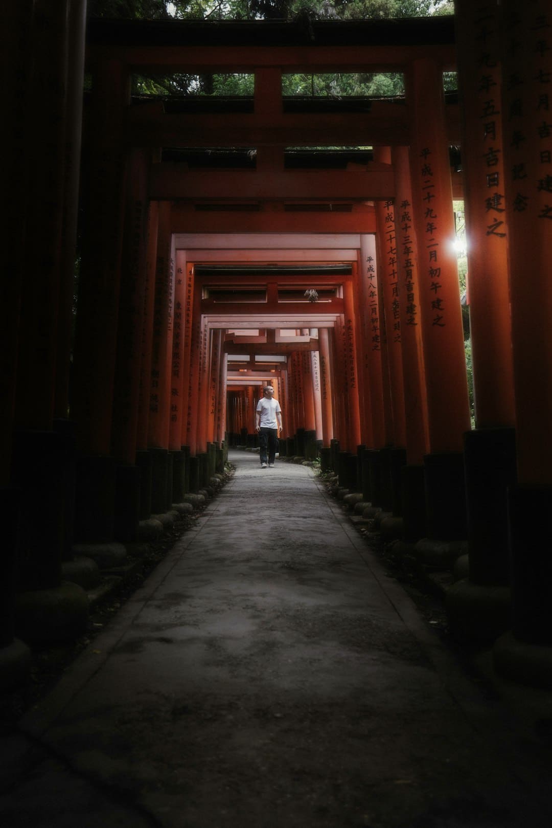 新藏铁路有限公司正式建立，注册资本 950 亿